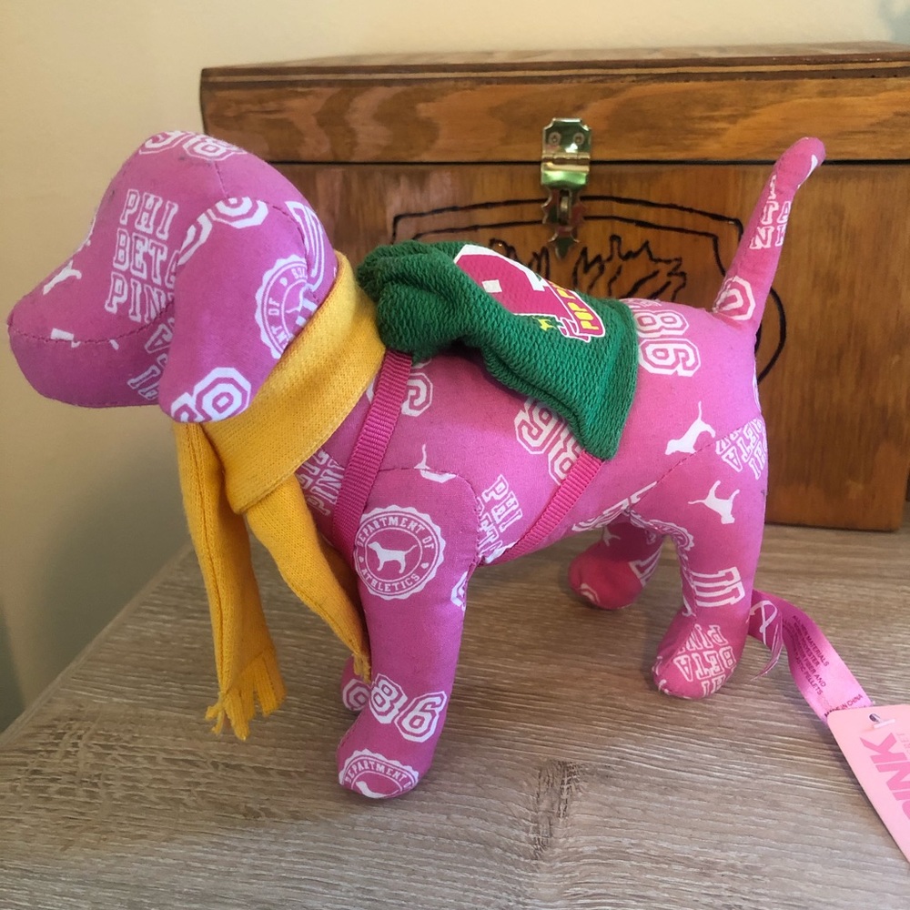 Vs pink dog